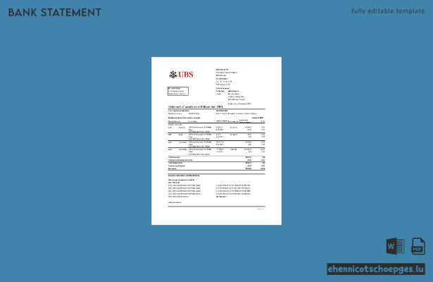 Beispiel eines Kontoauszugs der UBS Monaco (Excel-Datei, Vorschau)